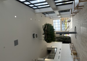 新潟長岡市ナカノオート新築工事