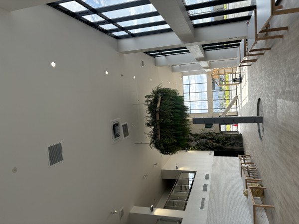 新潟長岡市ナカノオート新築工事